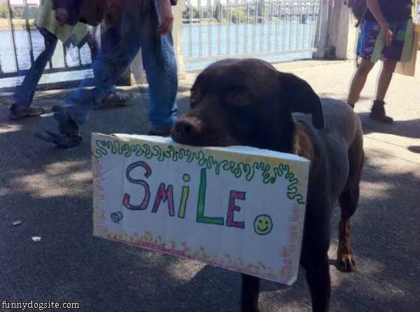 Smile