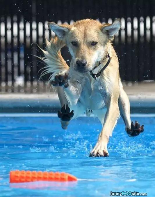 Epic Fetch