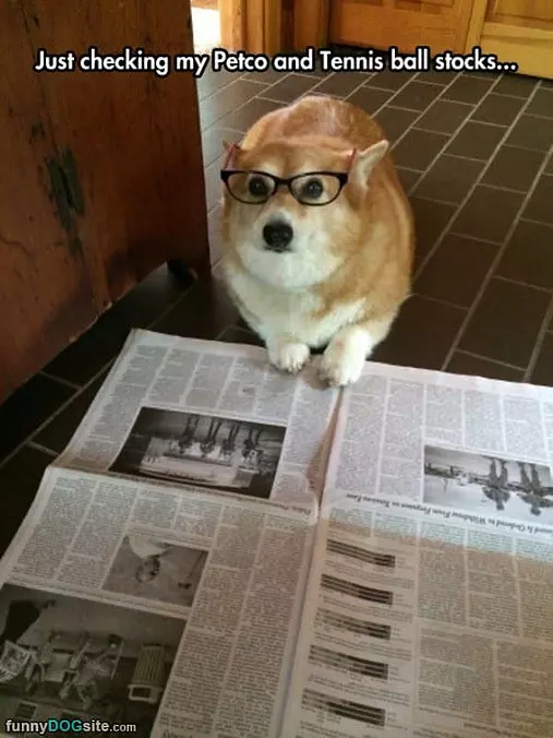 Just Checking My Stocks
