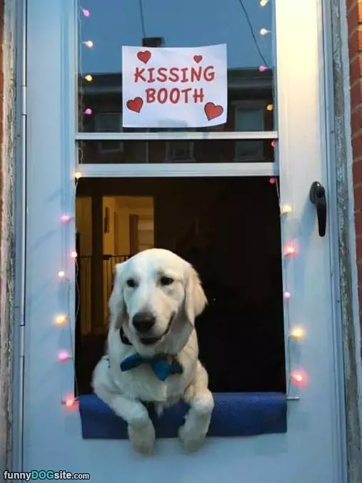 Kissing Booth