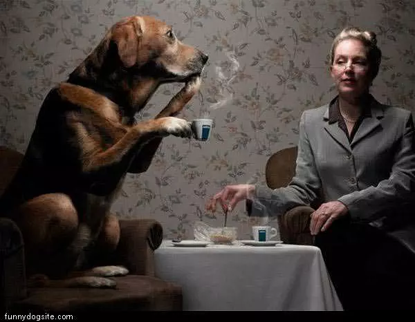 Tea Time