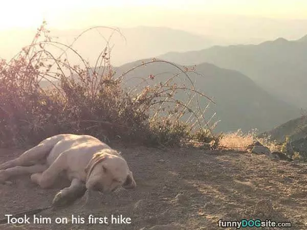 Hikes Make Me Tired