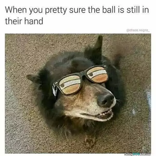 Pretty Sure