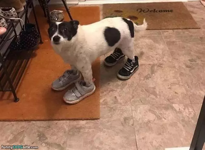 Nice Sneakers