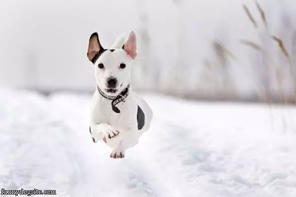 I Can Fly I Can Fly