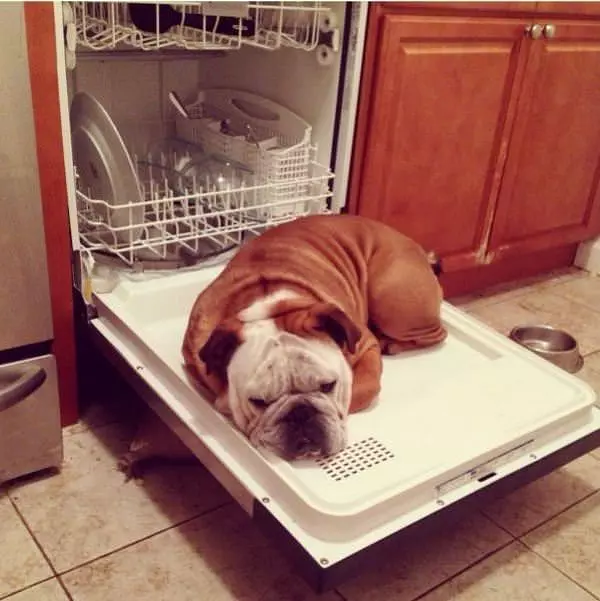 My New Bed Thanks
