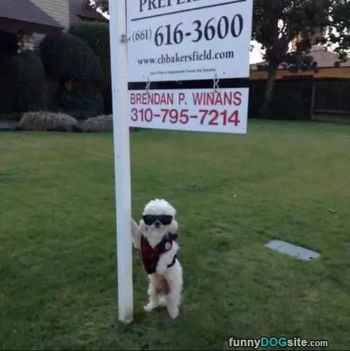 Always Selling