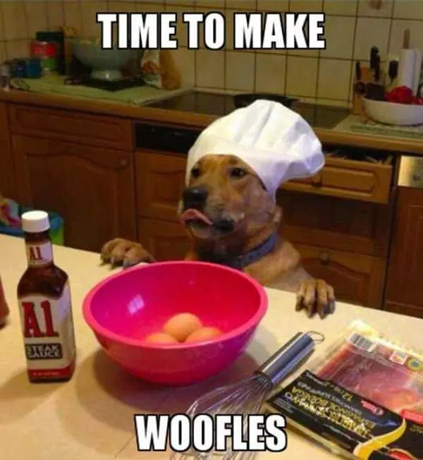 Woofles