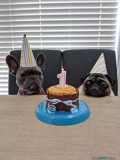Muh Birthday
