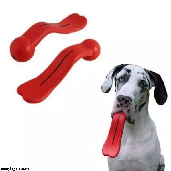 Chew Toy