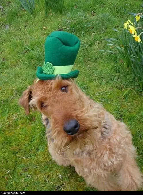 Nice Green Hat