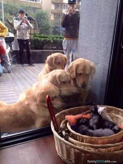 Cmon Lets Play