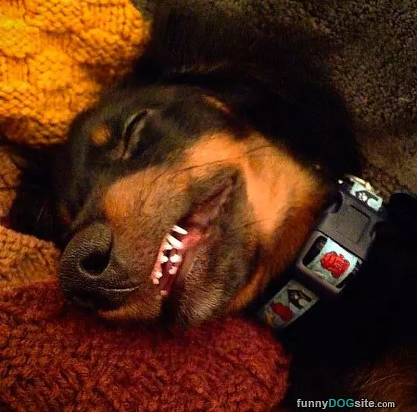 I Am So Asleep