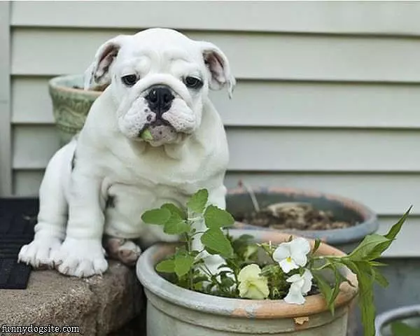 It Wasnt Me