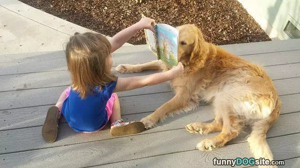 Close Up Reading