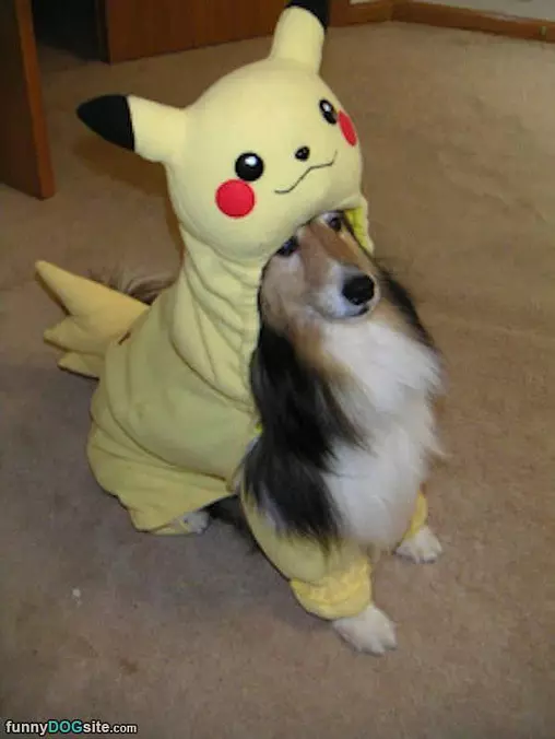 A Fun Costume