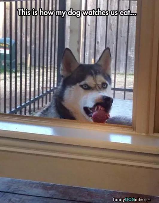 Watching You Eat