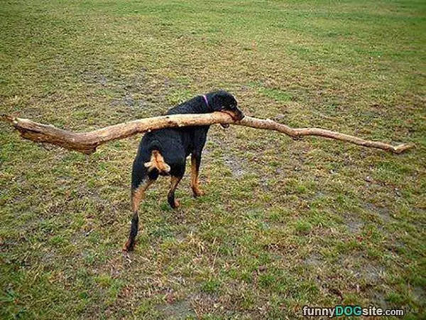 Epic Fetching