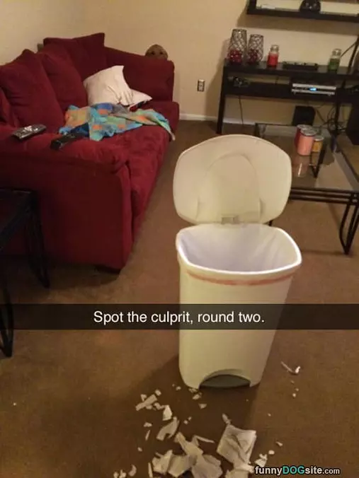 Spot The Culprit Again