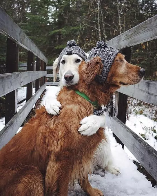Giving Out Some Big Hugs