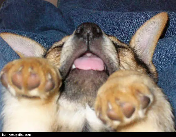 Sleep Like This