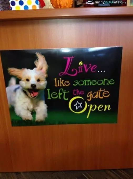 Live Free