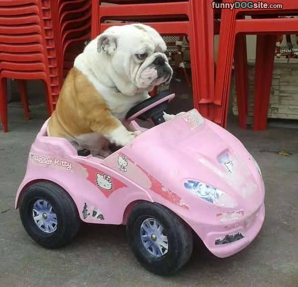Im Rollin They Hatin
