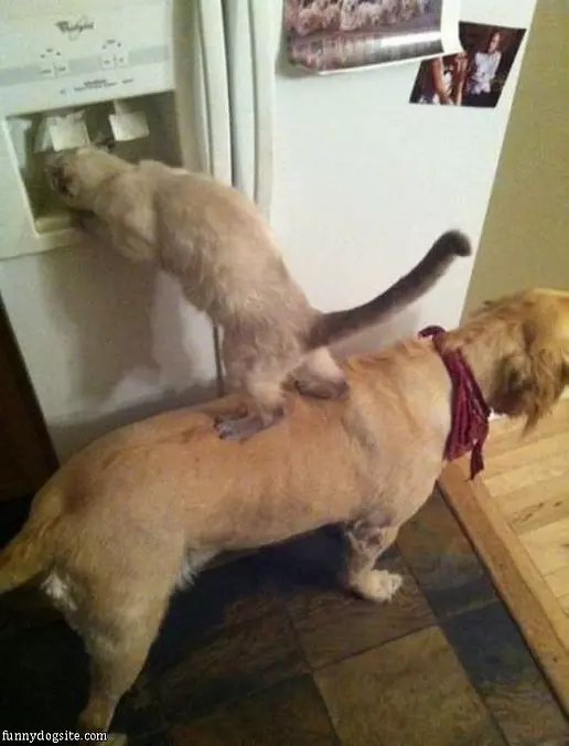 Great Teamwork