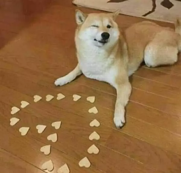 Wink Wink