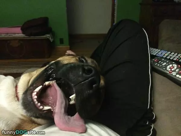 Cmon Lets Go To The Park
