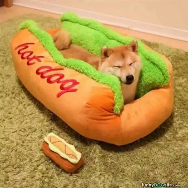 Hot Dog Bed