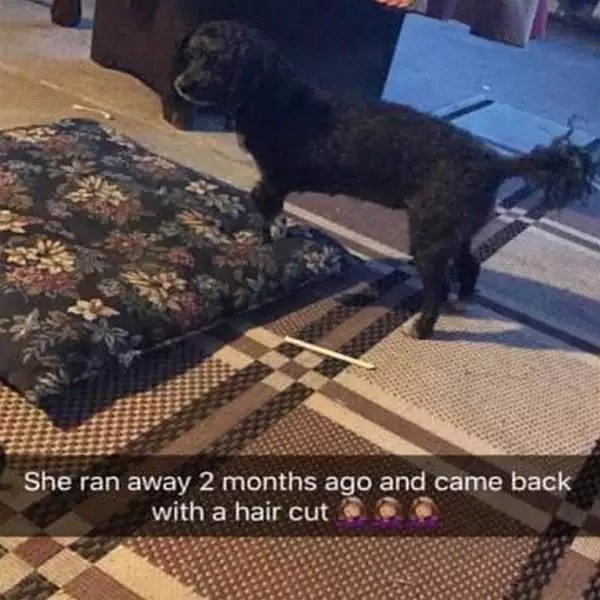 She Ran Away And Came Back Like This
