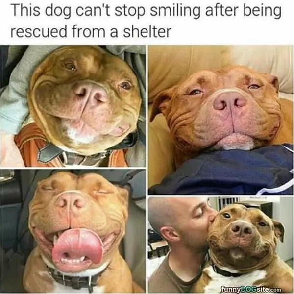 Big Smiling Hugs