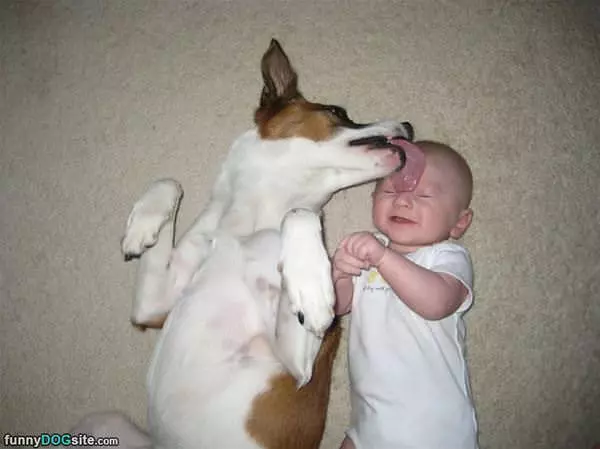 A Kiss On The Head