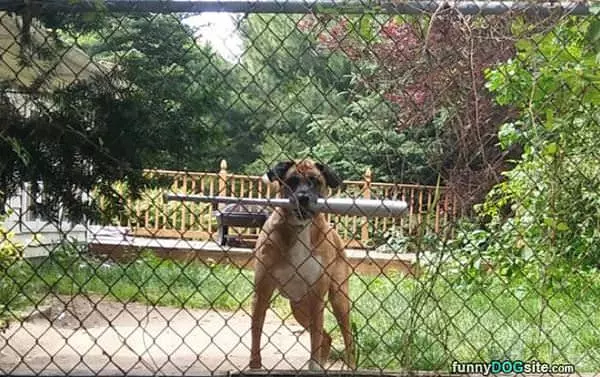 This Home Is Protected By