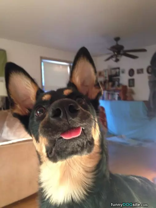Making A Cute Face