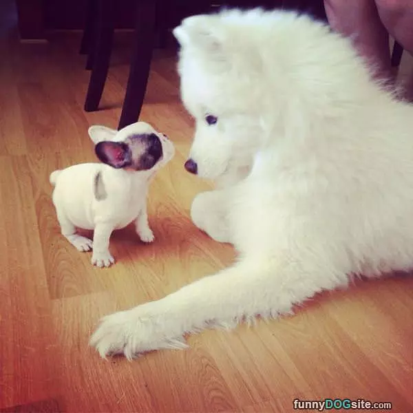 What You Say To Me