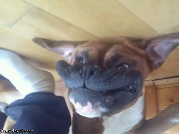 Making A Huge Smile