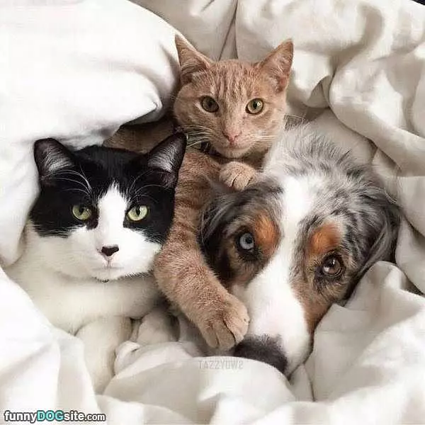 Cuddling Up Here Together