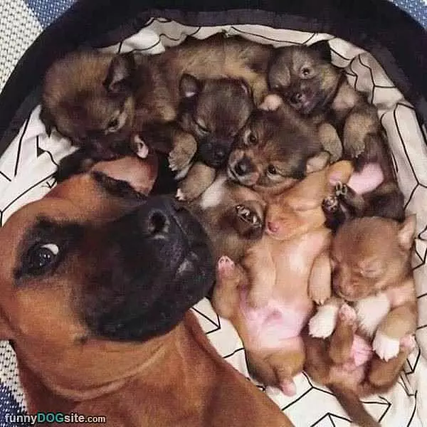 My Fam