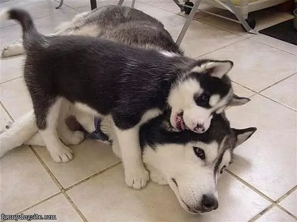 Mom Lets Play