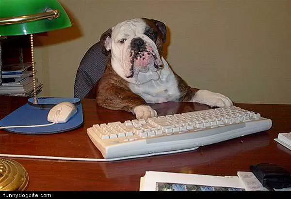 Computer Dog