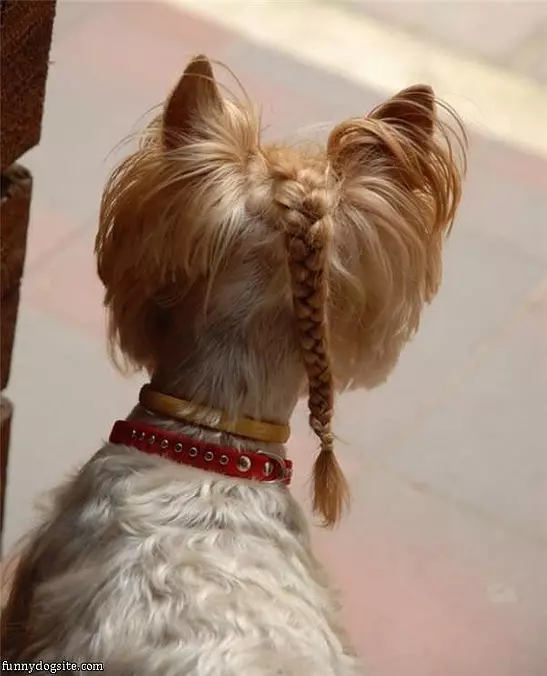 Braided