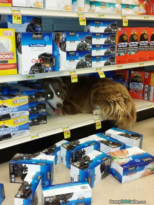 I Hate Garbage Bags