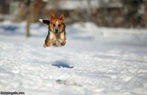 Running Fast