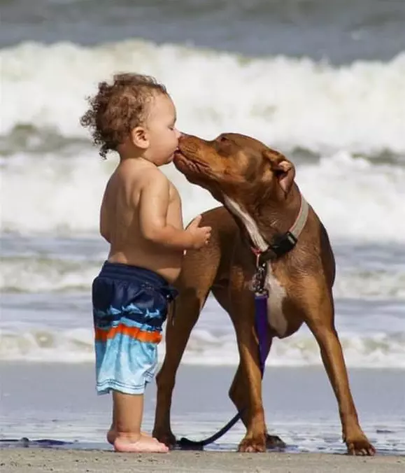 I Love You Human