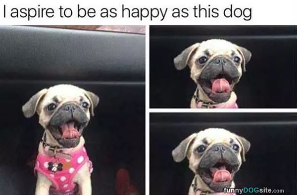 I Aspire