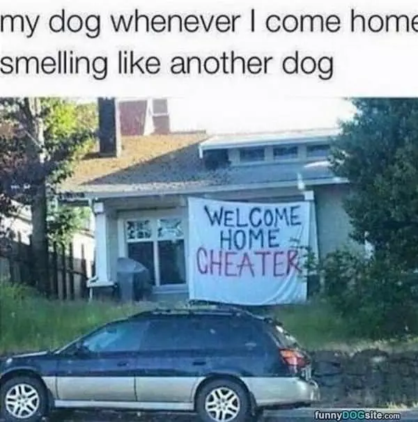 My Dog