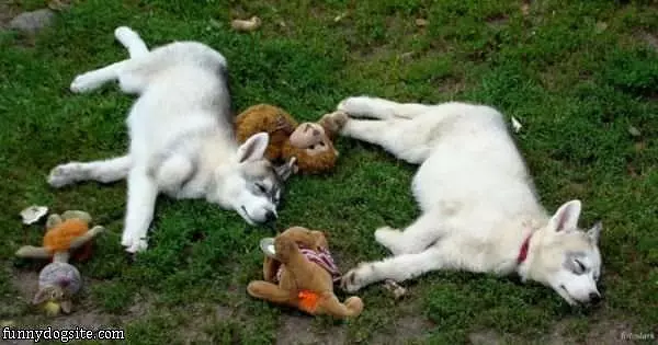 So Sleepy