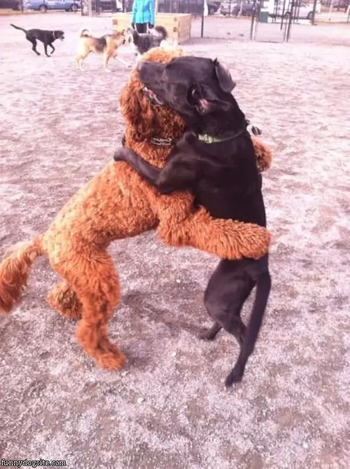 Hug It Out